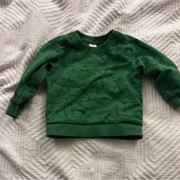 Carter’s Crewneck Sweatshirt Toddler 18 months Dinosaurs Green GUC - Picture 1 of 4